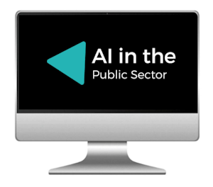 AI in the public sector